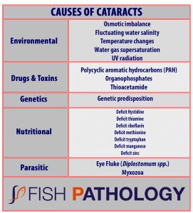 Causes of cataracts